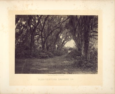  von George N. Barnard