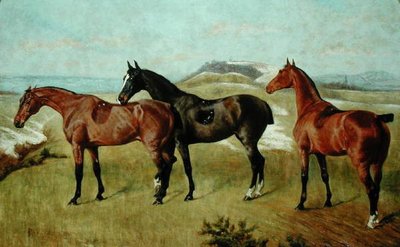 Drei Pferde: Whissendine, Swallow und Tiptop von George Paice