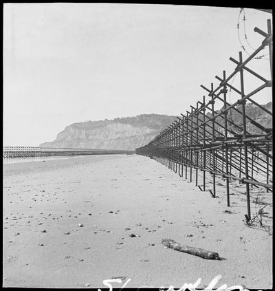 Der Strand von Shanklin, mit zwei Reihen von Admiralty-Gerüsten von George R. Long