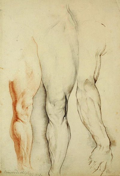 Boswoods Oberschenkel von George Richmond