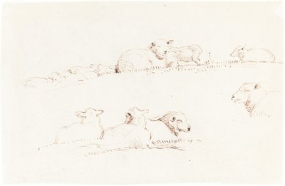 Studien von Schafen auf der Weide von George Richmond