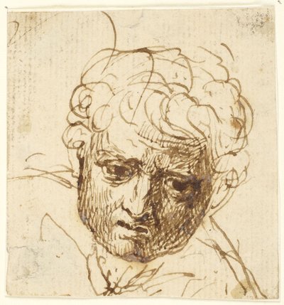 Kopf eines Jungen von George Romney