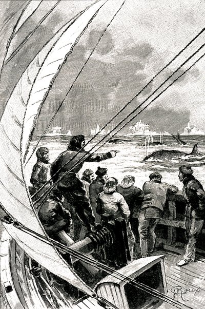 Auf See Richtung Pol: Die Besatzung eines Schiffes (Segelboot) sieht eine Gruppe von Walen. Illustration des Romans von Jules Verne (1828-1905) „Der Eissphinx“ von George Roux