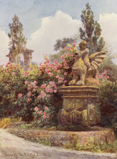 Italienische Gärten: China-Rosen, Villa Imperiali von George Samuel Elgood