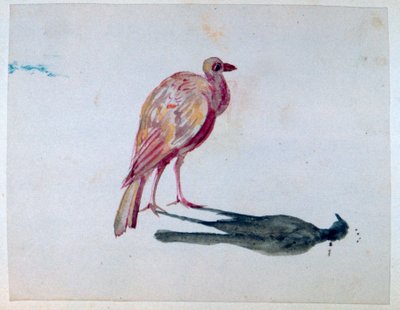 Vogel, 1820-1876 von George Sand