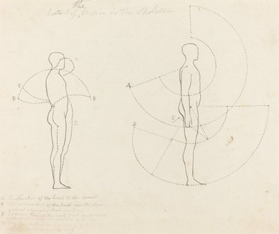 Bewegungsumfang in zwei Figuren gezeigt von George Scharf after John Flaxman