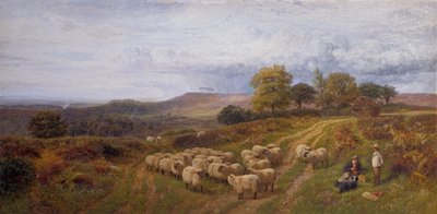 Weite Landschaft mit einem Hirten und seiner Schafherde, Surrey von George Shalders