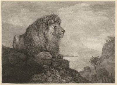 Ein Löwe [Ein Löwe ruht auf einem Felsen] von George Stubbs