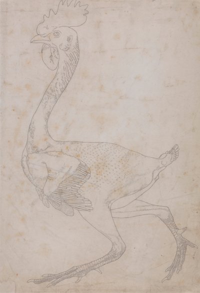 Vogelkörper, Seitenansicht (Wahrscheinlich zur Übertragung auf die Platte für die Gravur der Schlüsselfigur zu Tafel X vorbereitet) von George Stubbs