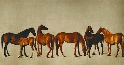 Stuten und Fohlen von George Stubbs