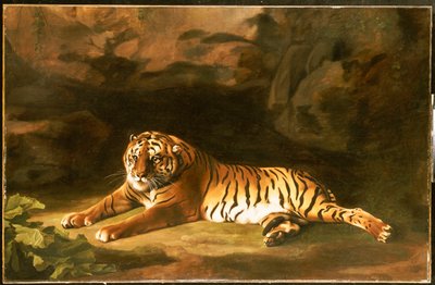 Porträt des Königstigers, ca. 1770 von George Stubbs