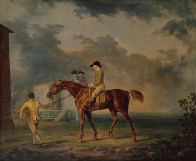 Sir Salomon, ein braunes Rennpferd mit J.Singleton, Newmarket von George Stubbs