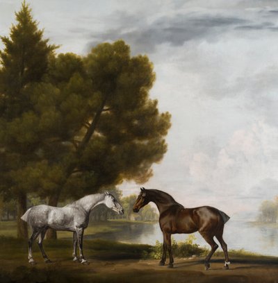 Zwei Pferde in einer Landschaft von George Stubbs