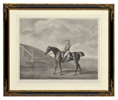 Kürbis von George Townley Stubbs