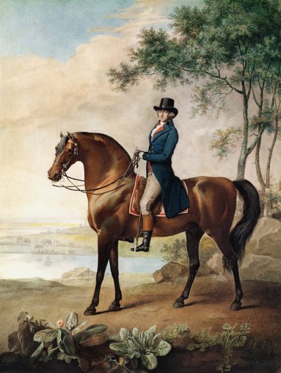 Warren Hastings Esq. auf seinem arabischen Pferd, nach einem Gemälde von George Stubbs von George Townley Stubbs