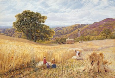 Erntezeit in der Nähe von Holmbury Hill, Surrey, 1865 von George Vicat Cole