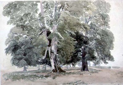 Studie von Bäumen von George the Younger Barret
