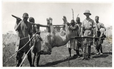 Löwe am Bahr el Ghazal, Am Dafok, 1925 von Georges Marie Haardt