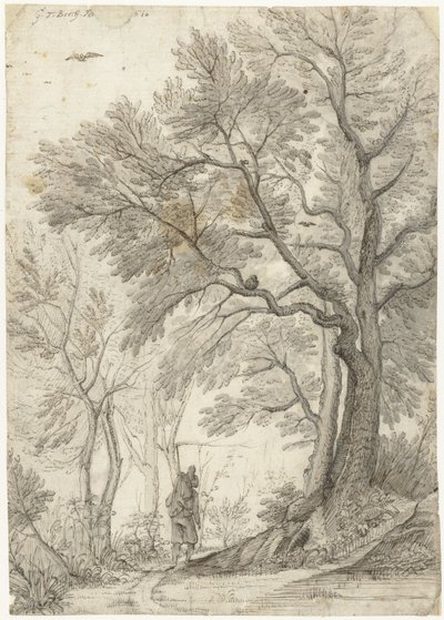 Wald der Villa Madama außerhalb Roms von Gerard ter Borch