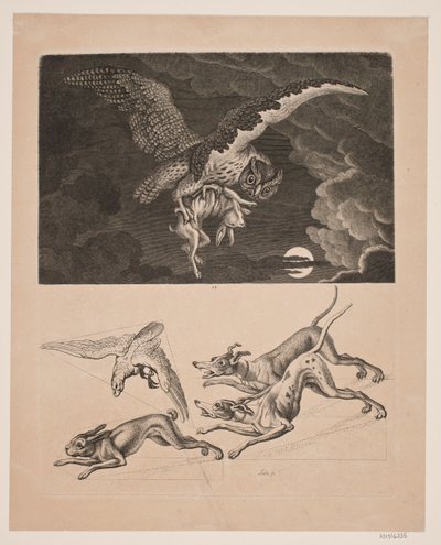 Tafel mit Eule, die mit Hase fliegt, darunter; Hunde, Hase und Jagdfalke von Gerhard Ludvig Lahde