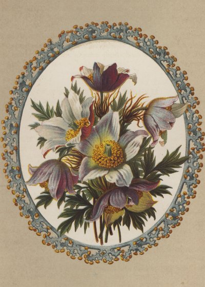 Anemonen von German School