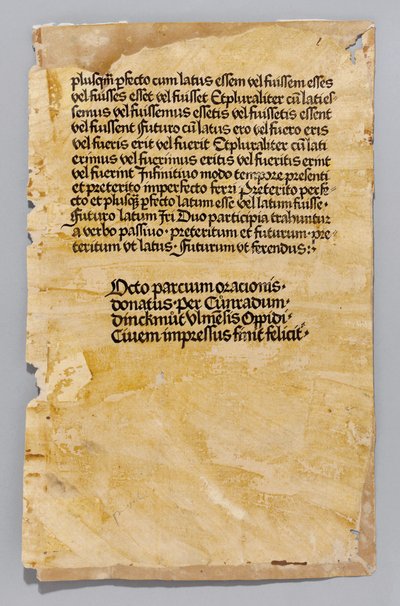 Ars Minor von Aelius Donatus, gedruckt von Konrad Dinckmut, Ulm, ca. 1476-80 von German School
