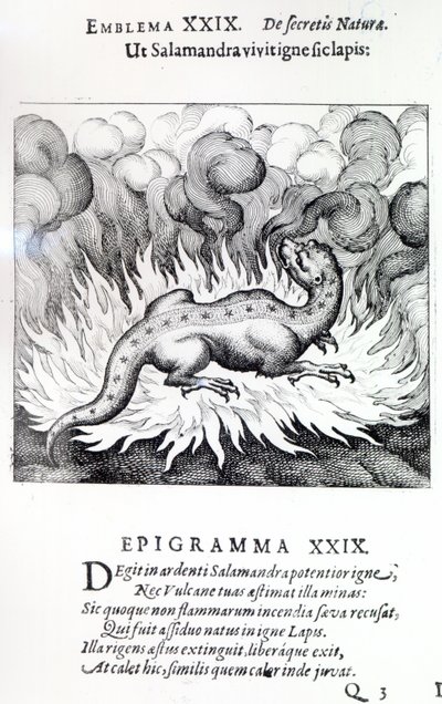 Wie der Salamander im Feuer lebt, so auch der Stein, Emblem XXIX aus Atalanta fugiens von Michael Maier, 1617 von German School