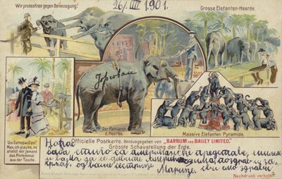 Barnum und Bailey
