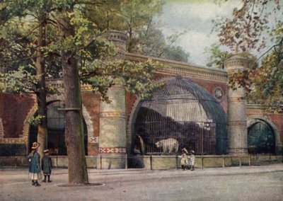 Bärengehege, Zoologischer Garten Berlin, Deutschland von German School