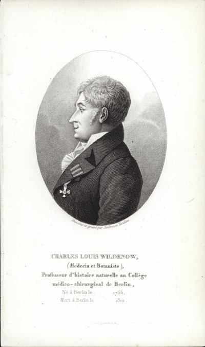 Charles Louis Wildenow von German School