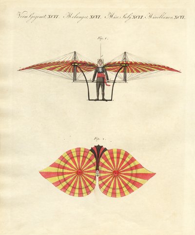 Degens Flugmaschine von German School