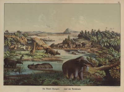 Europäische Tiere der Tertiärzeit von German School