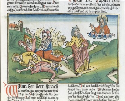 Exodus 9:8-12 Die sieben Plagen Ägyptens: Mose und die Plage der Beulen, aus der Nürnberger Bibel (Biblia Sacra Germanaica) von German School