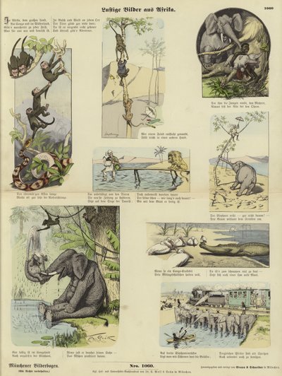 Lustige Bilder aus Afrika von German School