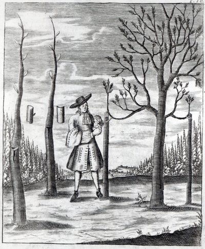 Gartenarbeit und Pflanzenkrankheiten, eine Illustration aus 