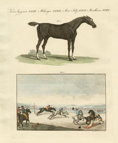 Pferderennen in England von German School