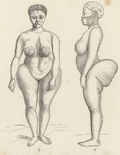 Hottentotten-Venus (Stich) von German School