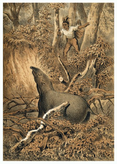 Illustration, Indianer jagen Tapir im Amazonaswald. In "De Bootslieden der Amazon-River", Karl Muller, Niederlande von German School