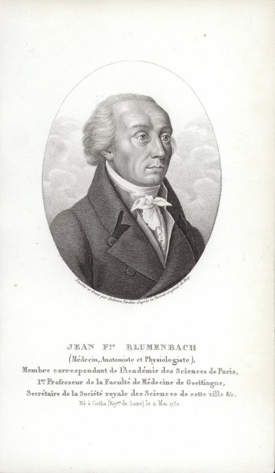 Johann Friedrich Blumenbach von German School