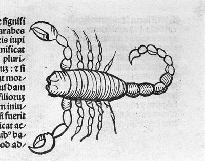 Le Scorpio - in Abhandlung von Johannes Angeli De Magnisconnectionibue annorum revolutionibus ac eorum pefectionibus. Augsburg, Erhard Ratdolt von German School