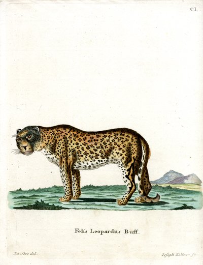 Leopard von German School