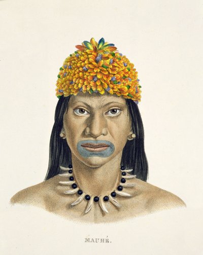 Einheimischer Mann des Mauhe-Stammes mit Kopfschmuck aus kleinen blauen und orangefarbenen Federn, aus Atlas einer Reise in Brasilien von Johann Baptist von Spix (1781-1826) und Karl Friedrich Philipp Martius (1794-1868) von German School