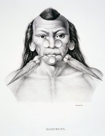 Einheimischer Mann des Maxuruna-Stammes mit Gesichtsschmuck, aus Atlas einer Reise in Brasilien von Dr. von Spix und Dr. von Martius von German School