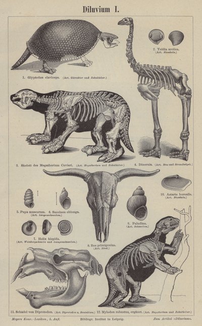 Prähistorische Tiere von German School