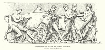 Opfertiere in der antiken griechischen Prozession der Panathenaia von German School