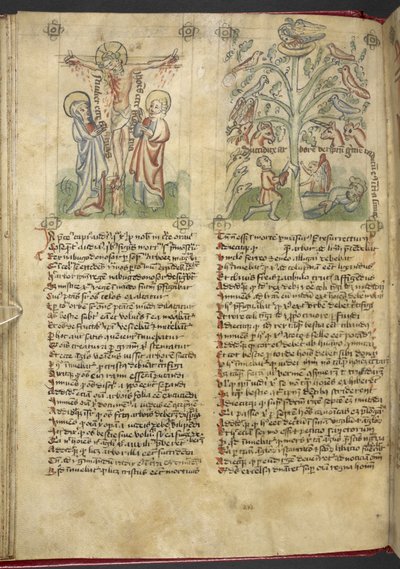 Nebukadnezar sieht einen Baum im Traum; die Kreuzigung, aus Speculum Humanae Salvation von German School