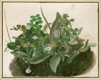 Kleiner Rasenbüschel von German School