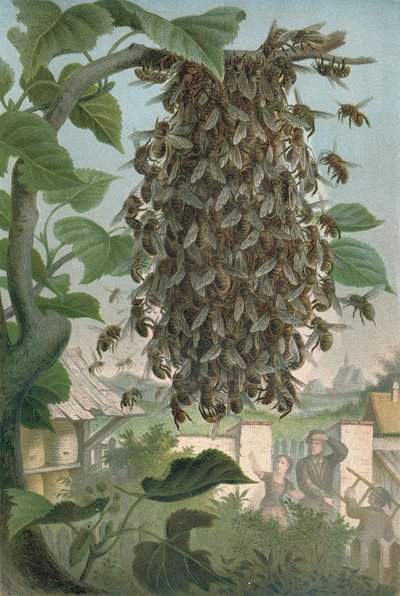 Das Bienenhaus, spätes 19. Jahrhundert von German School