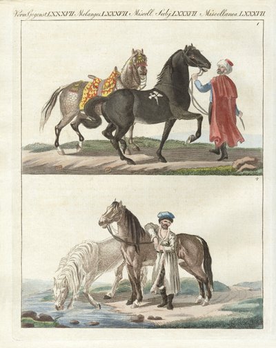 Das Pferd mit seinen verschiedenen Arten von German School