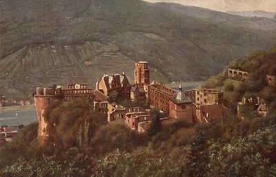 Blick auf das Heidelberger Schloss von der Molkenkur von German School